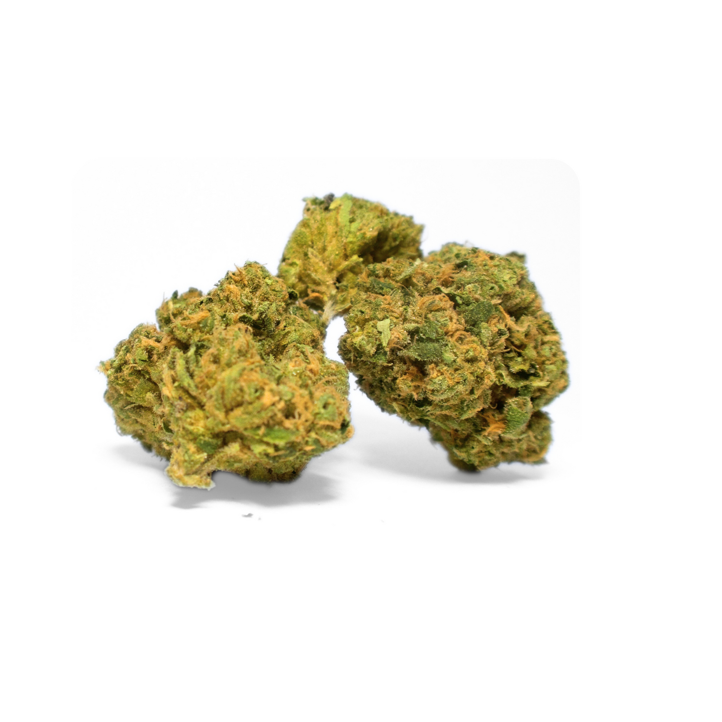 Shook Leaf Full Sized Nugs Exotic THCA Flower