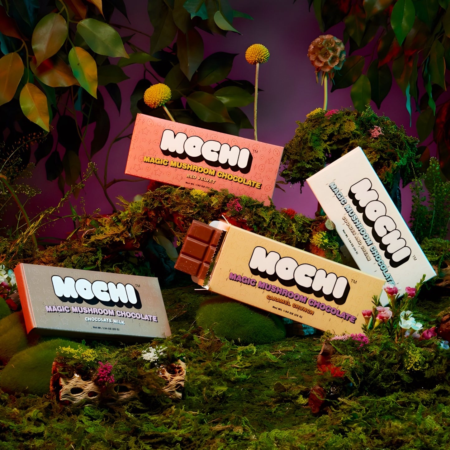 Mochi Magic Mushroom Chocolate