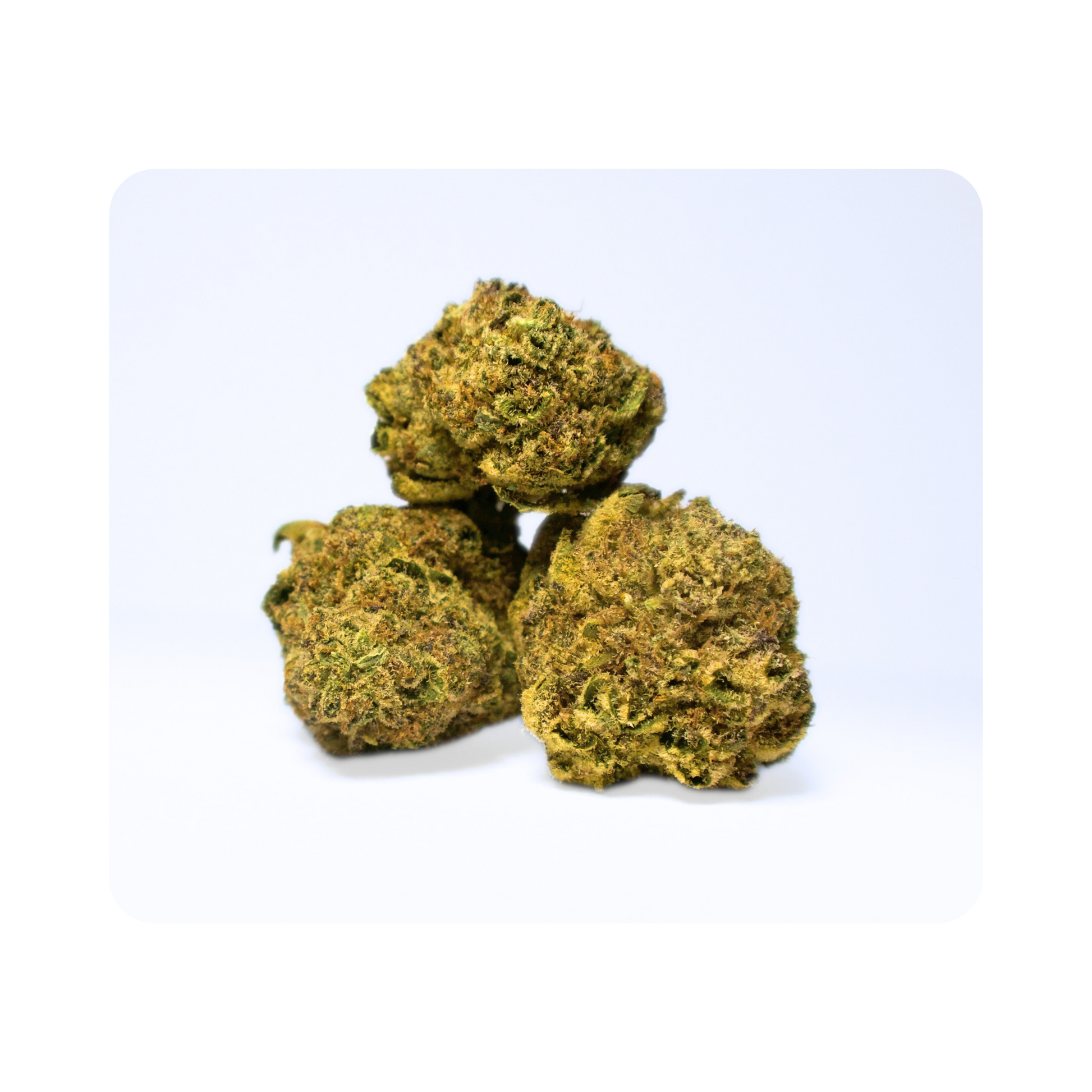 Shook Leaf Full Sized Nugs Exotic THCA Flower