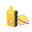 Mexico Mango